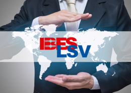ERP IBES LSV